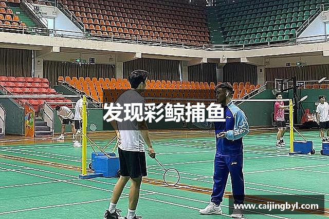 发现彩鲸捕鱼